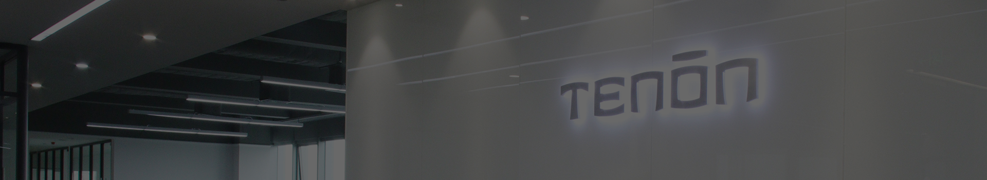 RELIABLE TENON SMART LOCKS FOR BUSINESSES